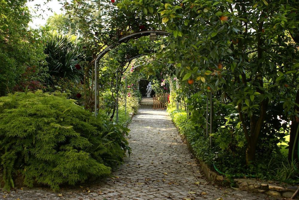 Quinta De Sao Lourenco Anadia Esterno foto