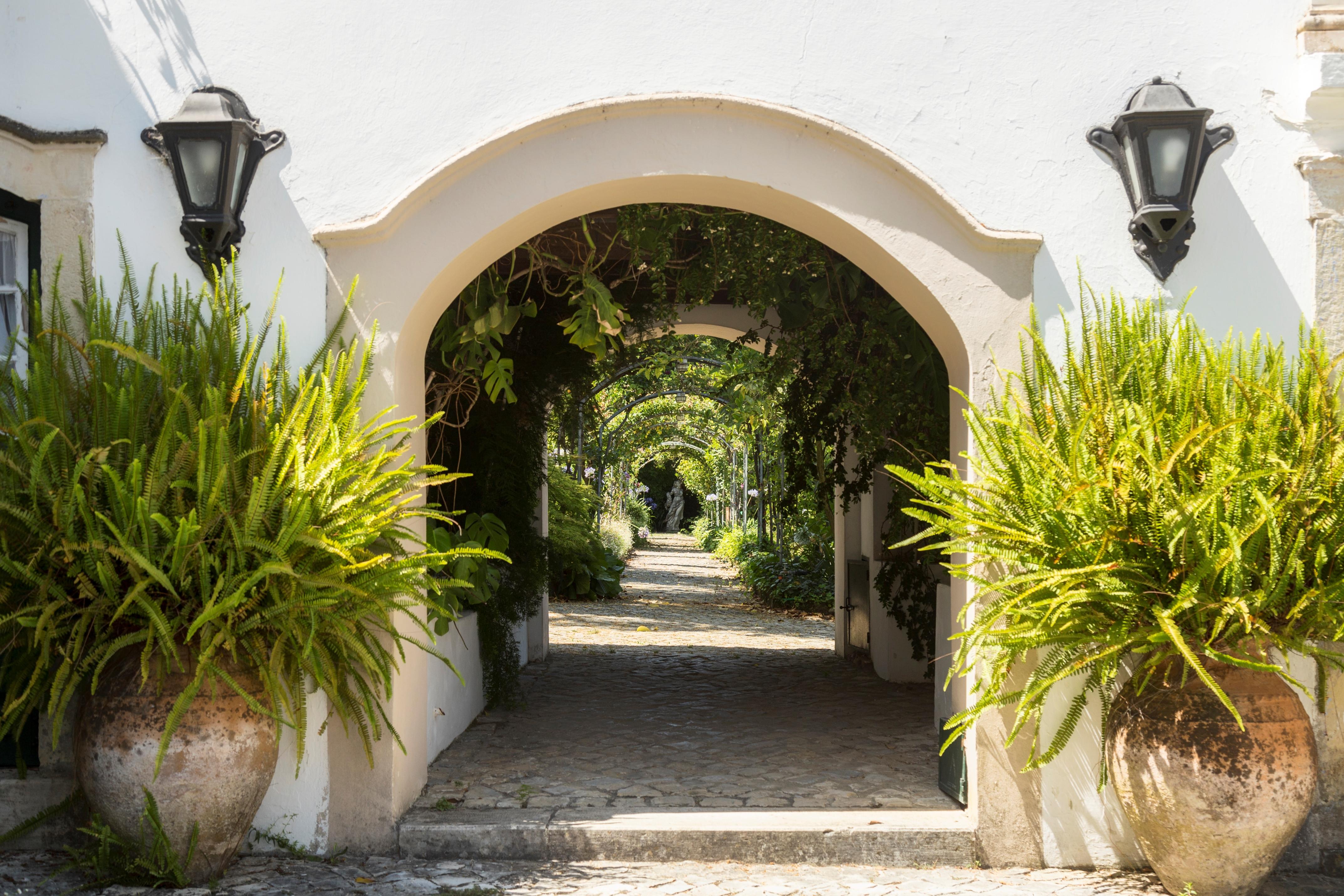 Quinta De Sao Lourenco Anadia Esterno foto