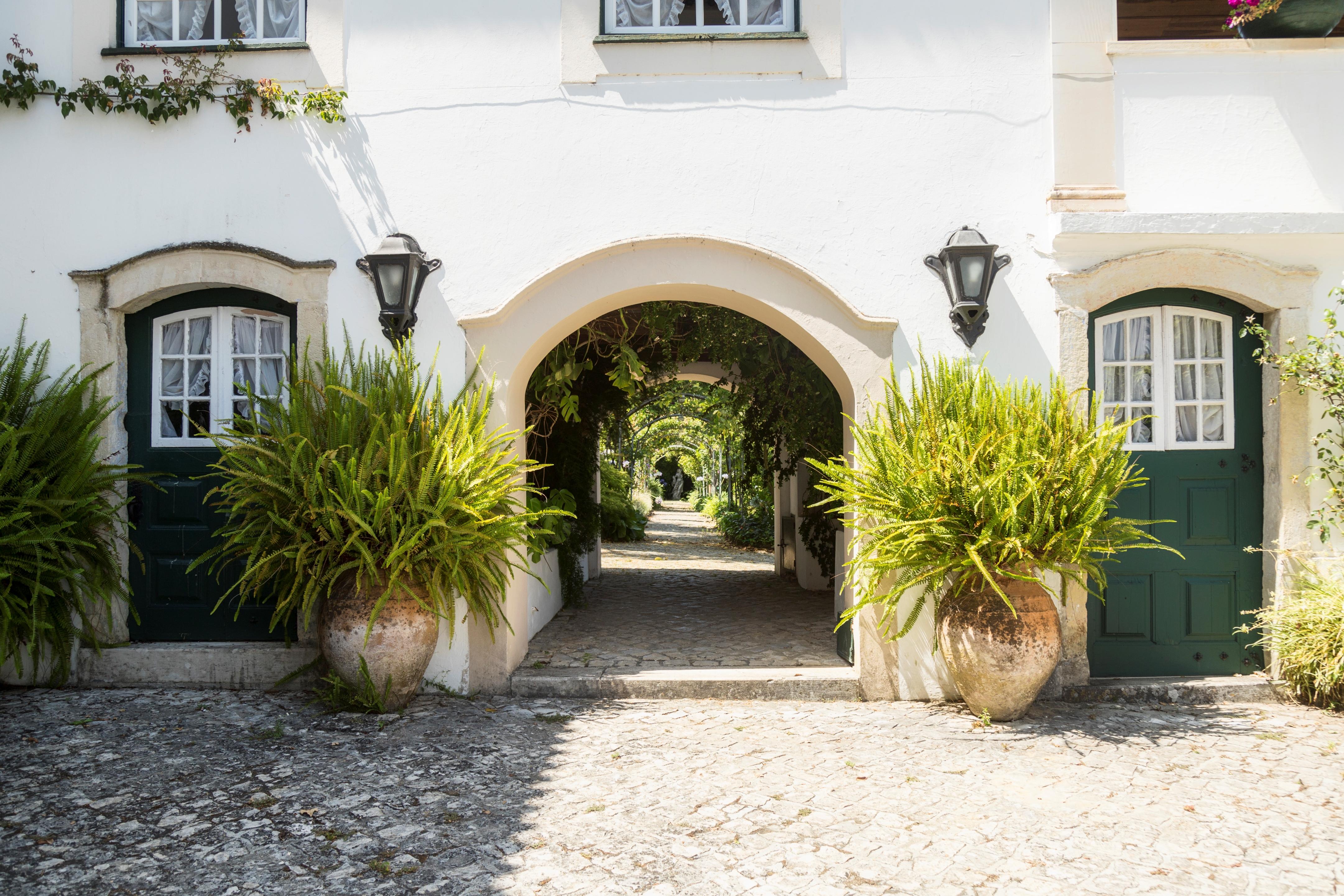 Quinta De Sao Lourenco Anadia Esterno foto