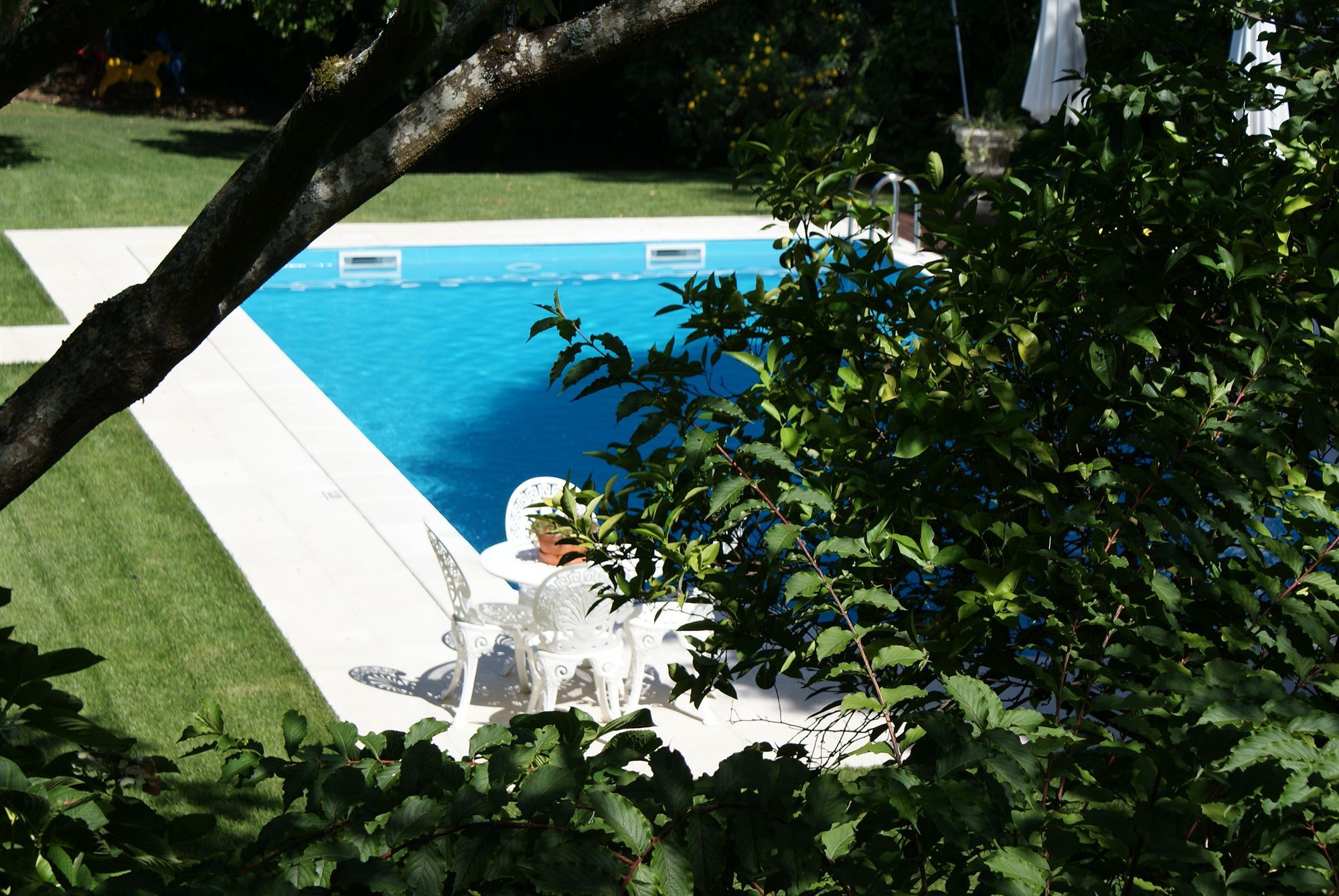 Quinta De Sao Lourenco Anadia Esterno foto